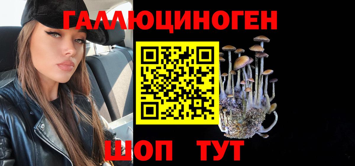 Моздок  Псилоцибиновые грибы мицелий  Вход с VPN 