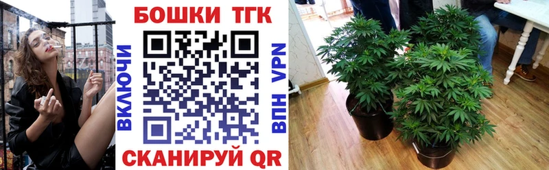 Шишки марихуана сатива  Моздок 